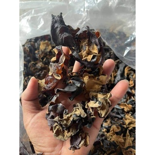 Mộc nhĩ rừng (nấm Tai Mèo)