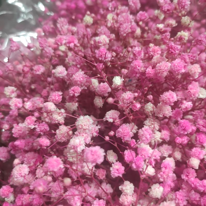 BÓ HOA MINI bi hồng TRẮNG thanh lịch đơn giản làm quà tặng trang trí bánh kem, thiệp