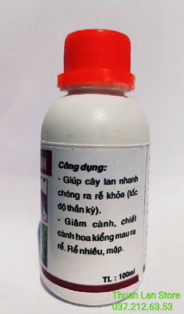 WHITE ROOT - Siêu Kích Rễ Báo Hỷ lọ 100ml