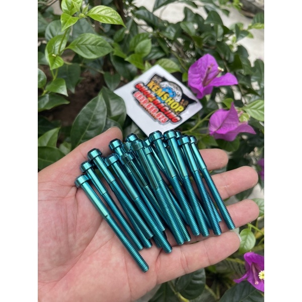 Ốc Titan 6li60 Đầu Trụ Gắn Lốc Máy Nhiều Dòng Xe