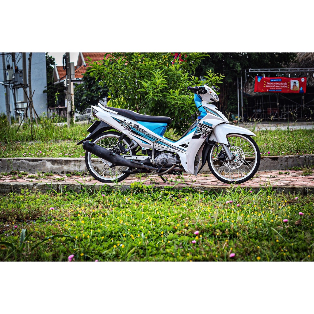TEM SIRIUS TRẮNG XANH