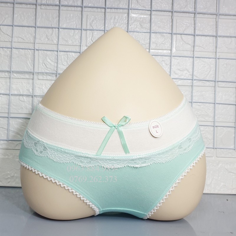 Quần lót nữ QN.02 chất cotton phối zen màu đẹp xinh cho chị em- Ảnh shop chụp