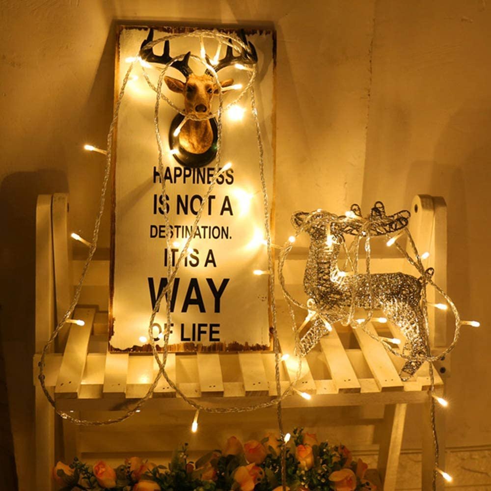 Dây Đèn Led Đom Đóm Fairy Light Trang Trí Tiệc Quấn Cây Thông Noel Mai Đào
