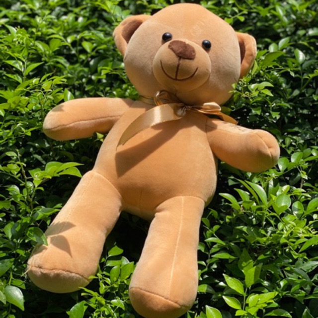 THANH LÝ GẤU BÔNG TEDDY