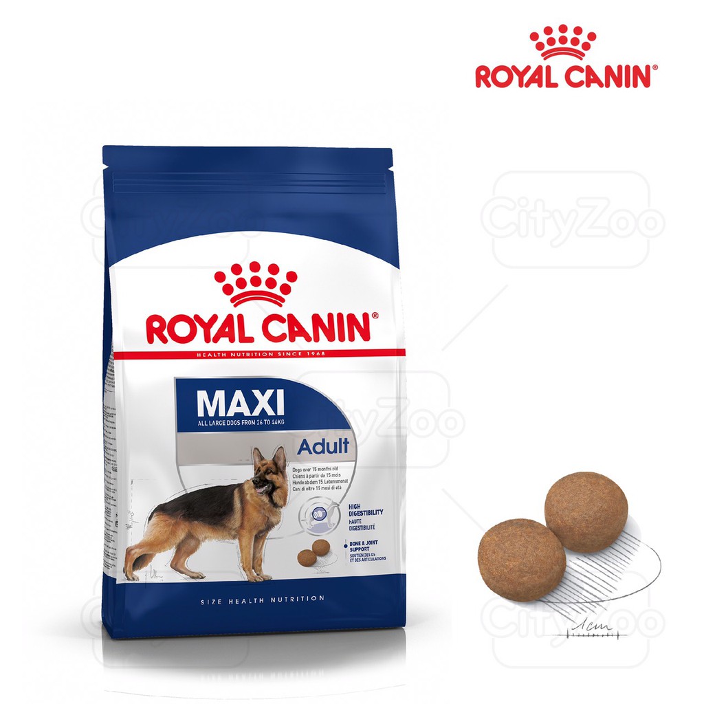 ROYAL CANIN MAXI ADULT ( 10kg)