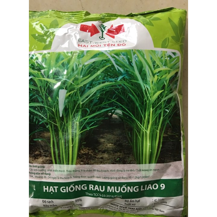 sale off Hạt giống rau muống trồng lá nhỏ 1kg hàng chuẩn cty.