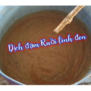 Men ủ đạm cá, đạm động thực vật (0,5 kg Vem gốc bột BIO PHƯƠNG NAM + 0,5 kg Enzyme Protease)
