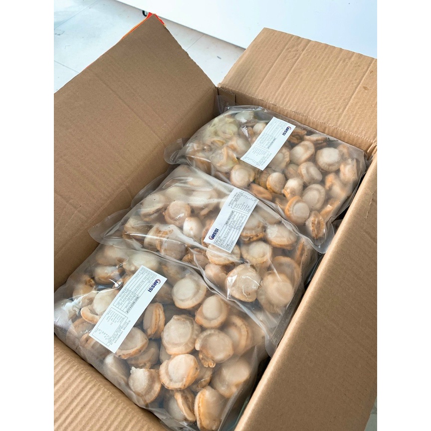 CÒI SÒ ĐIỆP HẤP NHẬP KHẨU - SIÊU NGỌT - SIÊU NGON - GIÁ RẺ NHẤT TPHCM