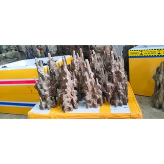 TRẦM CẢNH ĐỂ BÀN PHONG THUỶ