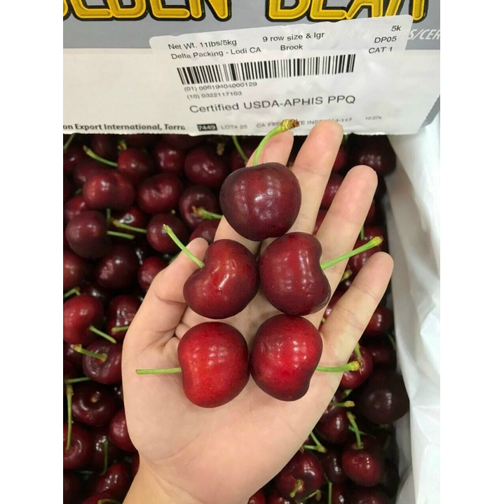 Cherry Mỹ đã vào mùa trái thơm ngọt ( hàng nhập khẩu)