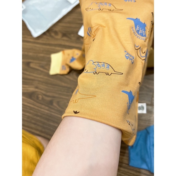 Bộ quần áo dài rang lần bé trai Dino nâu chaang cho bé