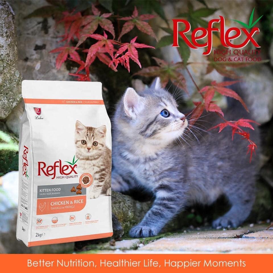 [Chính hãng] [Rẻ vô địch] Hạt Mèo Con Reflex Kitten (2Kg) - Gói