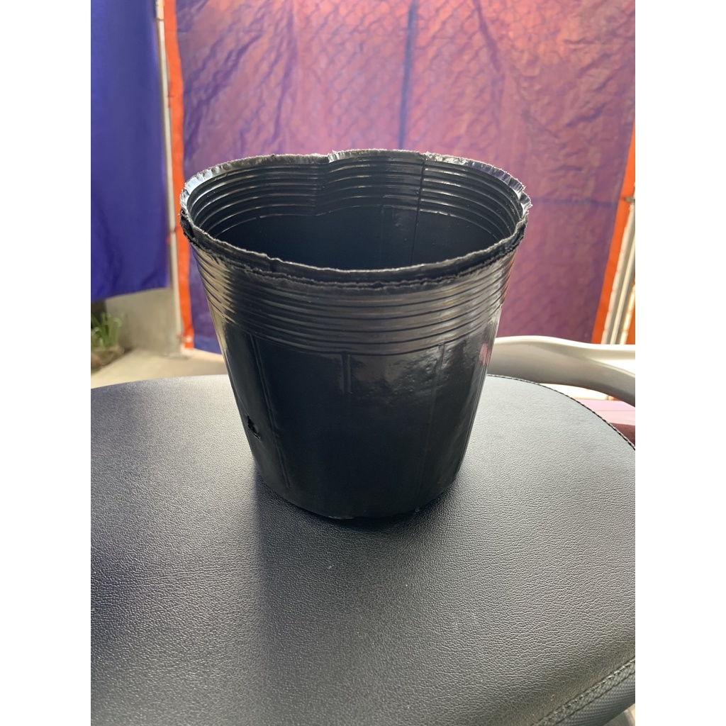 BẦU ƯƠM CÂY 18*16 ( DỊCH TRUYỀN CHO CÂY, KÍCH RỄ , MẦM CÂY XANH LÁ, LƯỚI CHE NẮNG...)