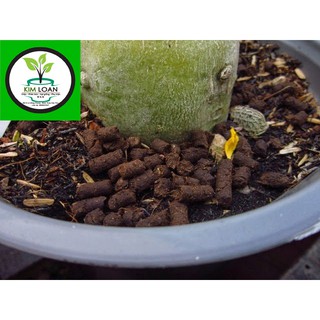 (1kg)Phân bón Dynamic Lifter của Yates nhập khẩu từ Úc