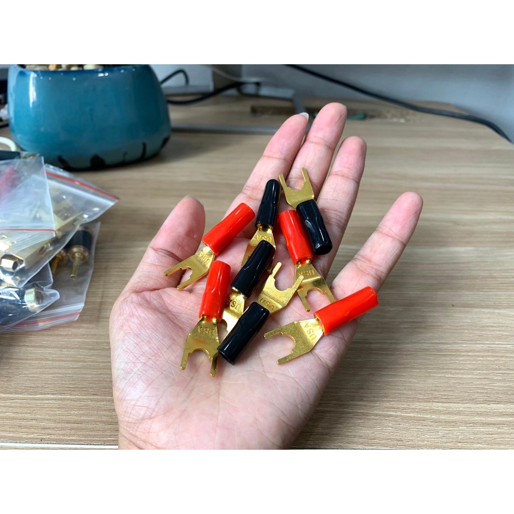 Jack Loa Càng Cua USA