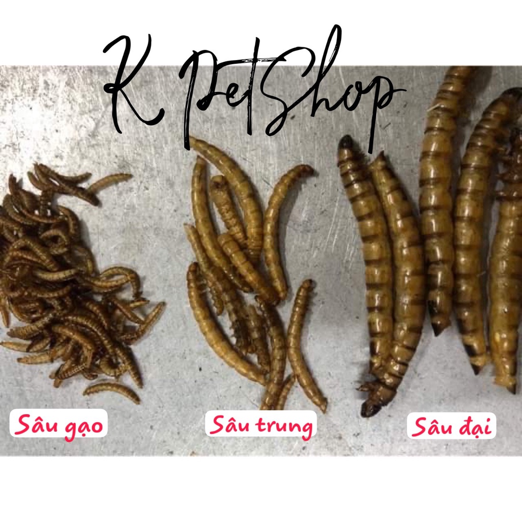 Sâu Sấy Khô Hamster 🐹Thức Ăn Sâu Superworm Đại Rang Bơ Dinh Dưỡng Bổ Sung Canxi Hamter , Nhím , Chim , Sóc ....