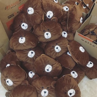 Túi sưởi điện gấu Brown