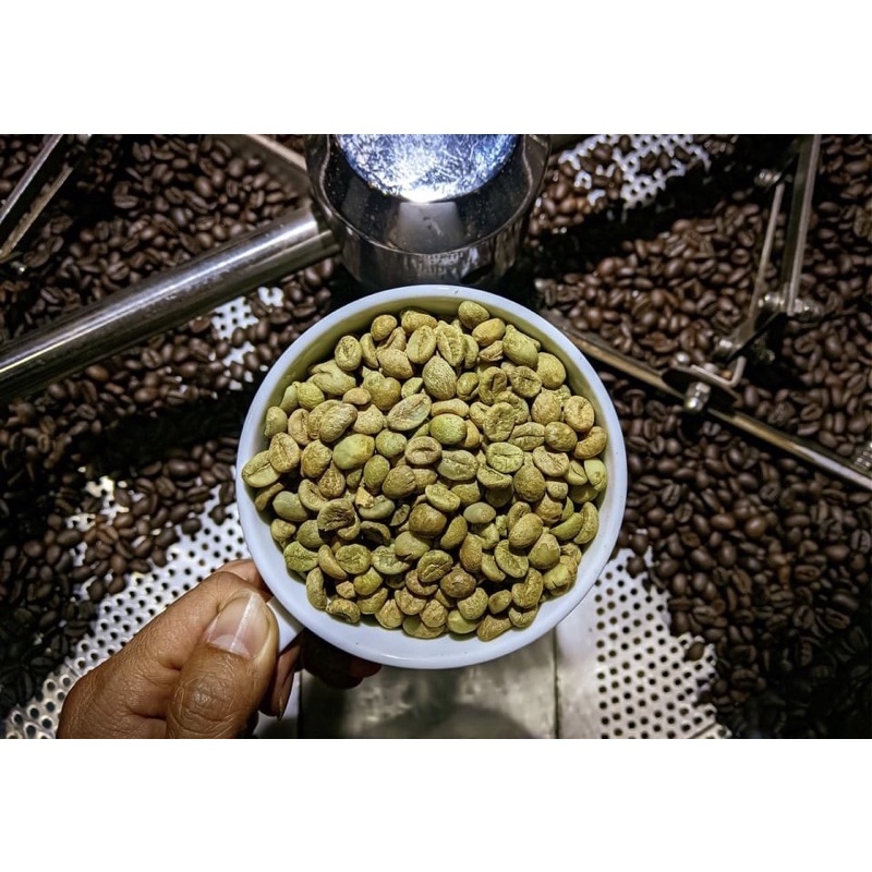 Cà Phê Sạch Nhân Sống ROBUSTAR, Hạt To chưa rang