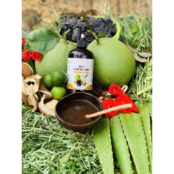 Dầu gội bồ kết cô đặc, Dầu gội thảo dược Handmade,Sạch gàu giảm rụng tóc Chai 500ml - Goss VIệt | BigBuy360 - bigbuy360.vn