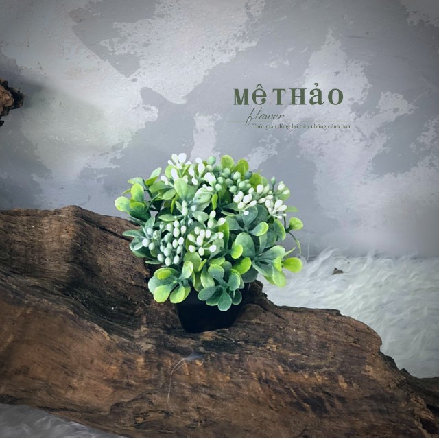 (Ảnh shop chụp) Chậu Hoa Sen Đá Giả Mini Trang Trí Nhà Cửa, Decor Phòng Khách Chất Liệu Lụa Cao Cấp Mê Thảo Flower