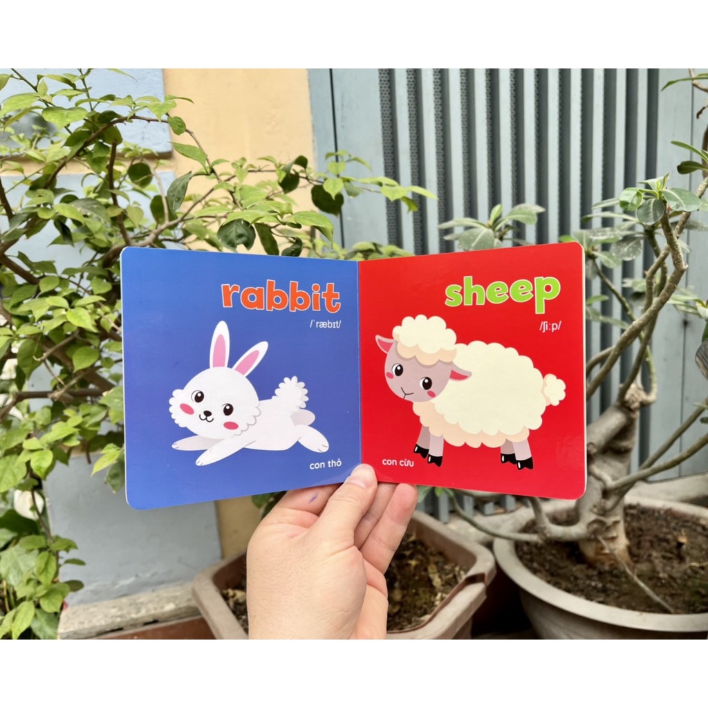 Sách Thư viện hình ảnh đầu tiên cho bé Baby' s first picture book cho bé 0-6 tuổi - BÌA XANH 8 CUỐN