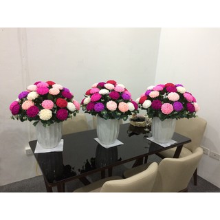 🌿Hoa hồng giấy  nhún Ý🌷