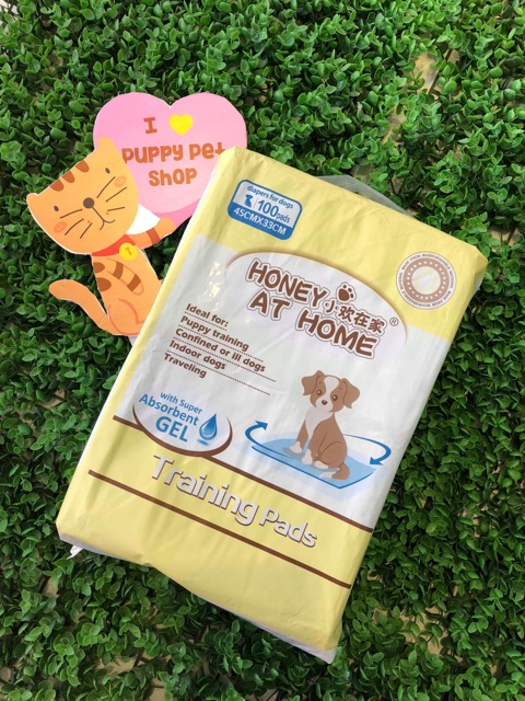 Miếng Lót Vệ Sinh Cho Cún Honey At Home