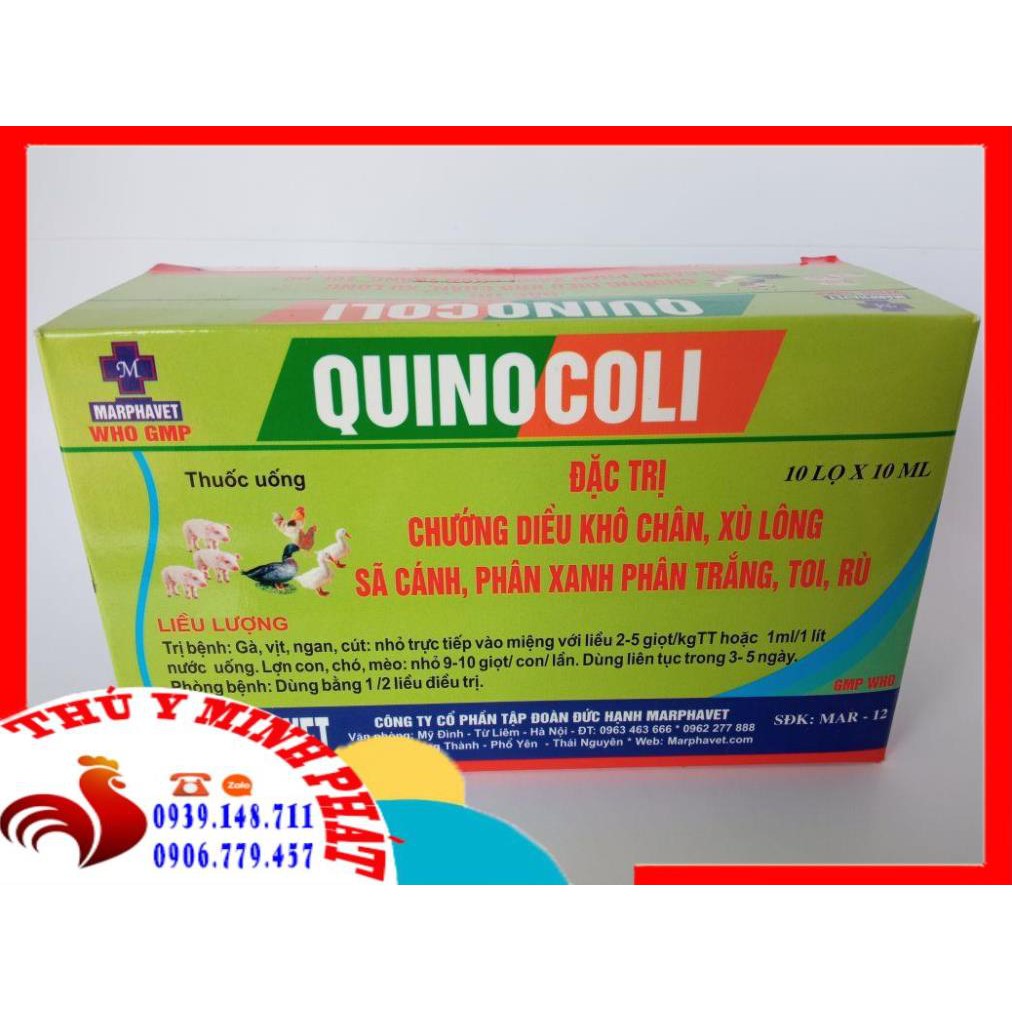 1 HỘP QUINOCOLI  CHƯỚNG DIỀU KHÔ CHÂN , XÙ LÔNG , SÃ CÁNH ,TOI , RÙ