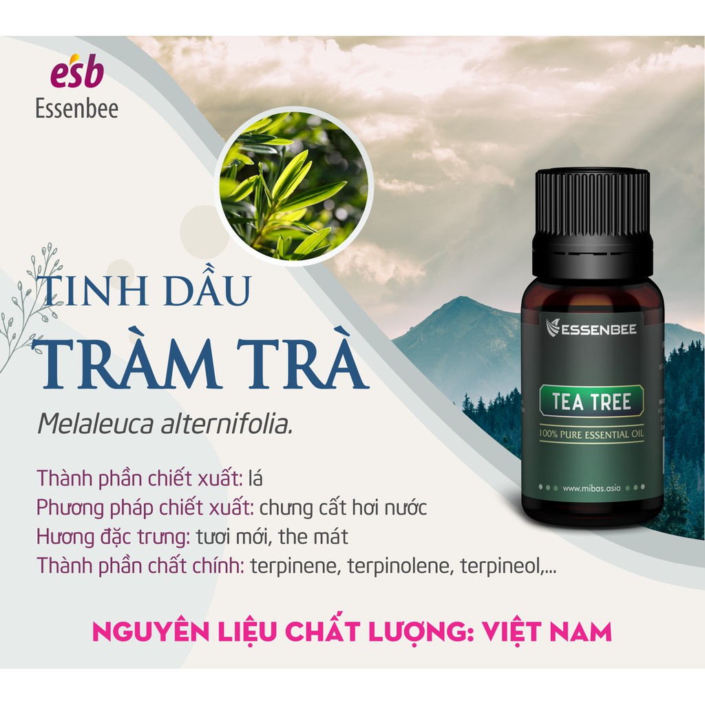 Tinh dầu Tràm Trà giúp giảm mụn – Essenbee – 20ml