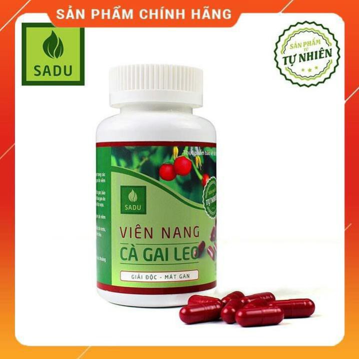 cà gai leo sadu dạng viên nang - hỗ trợ và bảo vệ lá gan của bạn hàng ngày