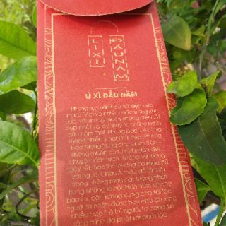 (Set 12 chiếc) Lì xì hoa văn Đại Việt