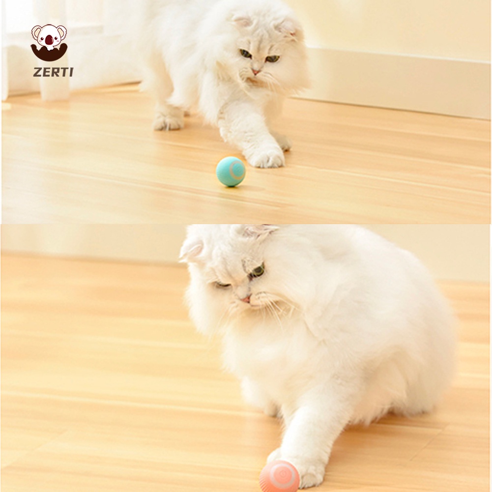 Bóng Đồ Chơi Điện Tử Thông Minh Có Âm Thanh Vui Nhộn Cho Mèo Cưng