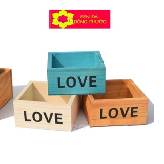 Chậu gỗ thông trồng cây chữ LOVE - chậu trồng tiểu cảnh sen đá, xương rồng, cây phong thuỷ văn phòng đẹp