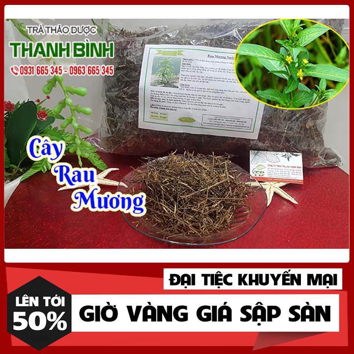 Cây Rau Mương 500gr - Hàng Tự Nhiên 100% - Đông Y Thanh Bình