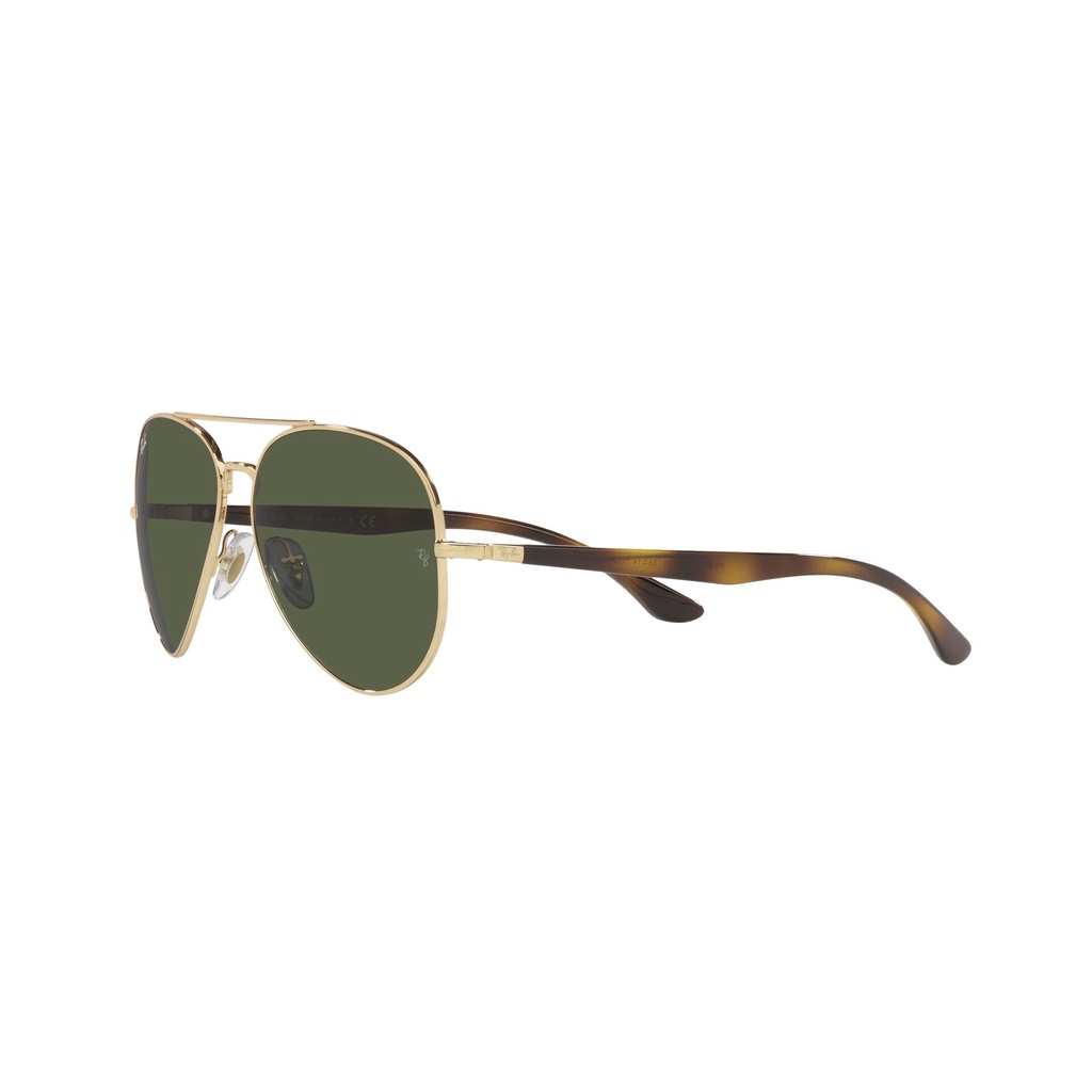 Mắt kính RAY-BAN - RB3675 001/31 - Kính mát