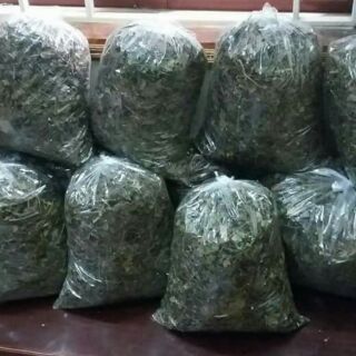 Chè vằng sẻ