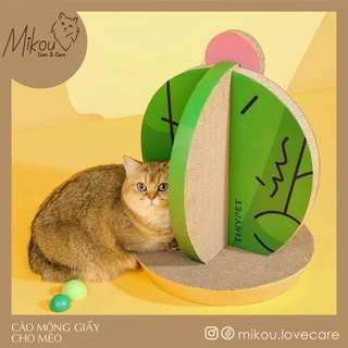 Cào móng giấy lớn, cào móng cho mèo, hình xương rồng, mikou shop