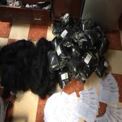 Lưới bẫy chim chào mào cao 7m dài 10m-50m