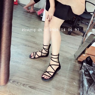sandan dây cực đẹp