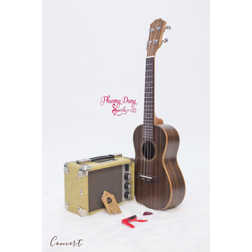 Đàn Ukulele Gỗ Cẩm Ấn chính hãng Music - size Concert