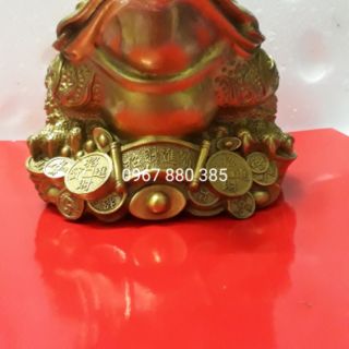 Cụ cóc 20x20, thiềm thừ đế tiền vàng