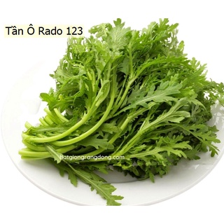 Hạt giống rau tần ô , rau cải cúc