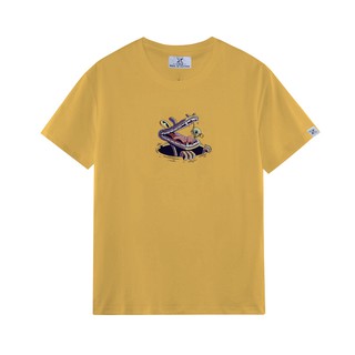 Áo thun Nam Nữ Unisex Basic Tee Cotton co giãn 4 chiều TS21