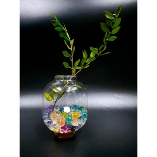 Chậu hoa thủy tinh treo tường
