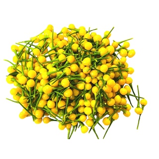 Hạt Giống Ớt Charapita (Ớt Peru) (5H)