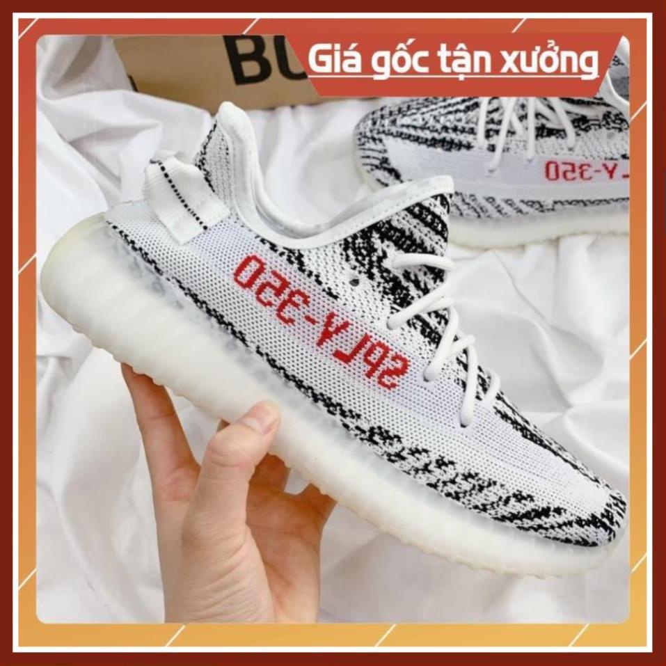 [Freeship - Hàng Sịn Sò] Giày Thể Thao YZ 350 Ngựa Vằn Nam Nữ, Giầy yz 350 siêu net