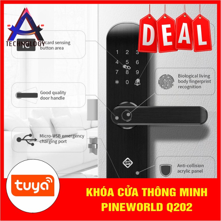 Khóa cửa thông minh Pineworld Q202