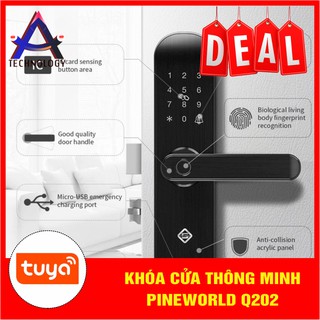 Khóa cửa thông minh Pineworld Q202