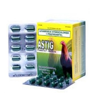 Combo 2 vĩ* 10 viên Astig thức ăn cho thú cưng