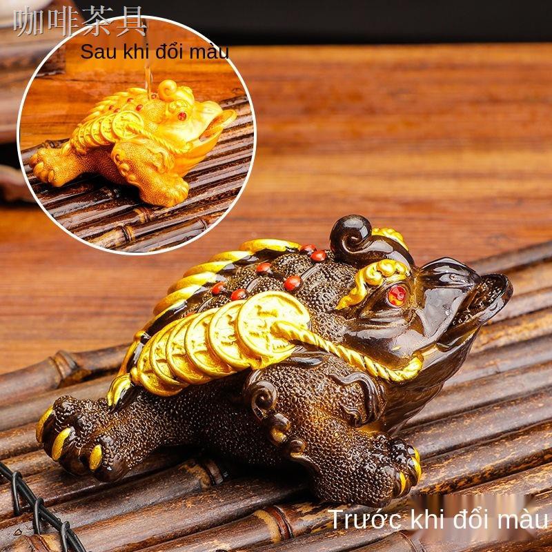 Golden Pig Tea Trang trí cho thú cưng Bộ trà Kung Fu đổi màu Phụ kiện Pixiu Creative Bình xịt để bàn Cóc vàngy mắn có